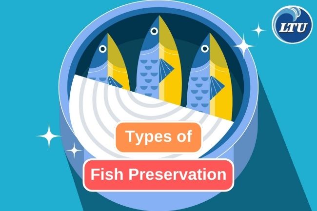 Popular Methods for Fish Preservation